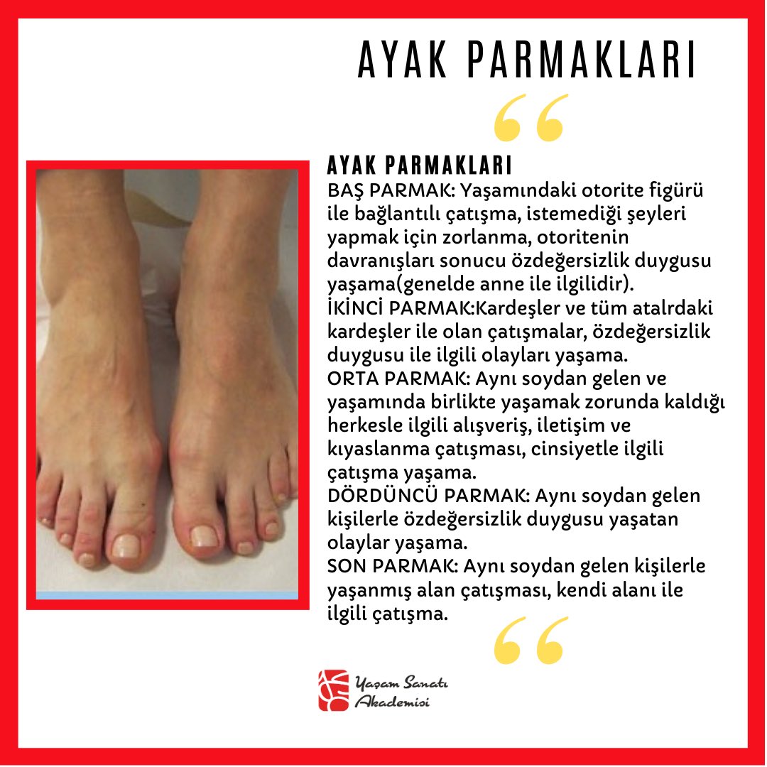 Yasamsanatiakdm's tweet photo. Ayak parmaklarında oluşan rahatsızlıkların altında yatan yaşanmış olaylar ve düşünceler ile ilgili cümleler….
https://t.co/fFCiai5iR6
#SanatTadındaYaşamınAdresi
#hastalık #recall #recallhealing #regresyonterapisi #rezonansterapi #healy #yasamsanatıakademisi #melikeuralguntan https://t.co/j3oRuy8yhp