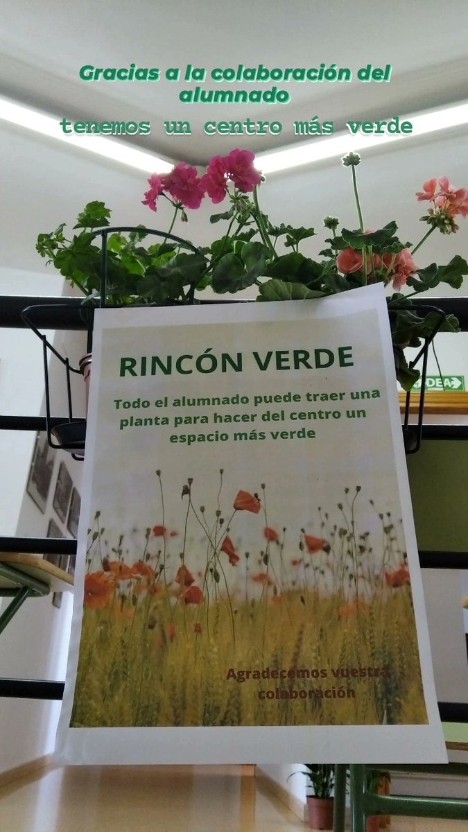 Gracias a la colaboración del alumnado del centro, tenemos un espacio más bonito y verde.🌷💚 #educacionalolargodelavida #educacionadultosmonzon #epaaragon #rinconverde