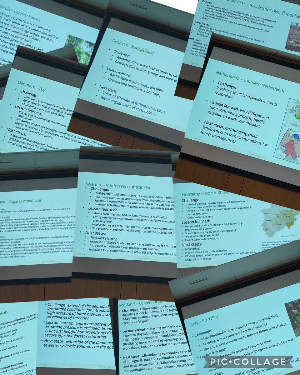 MndzMery's tweet photo. Learning 📝from other knowledge💡. #Demoareas 🌲🌳presenting in @SUPERB_project. Smart people learn from their mistakes. @INIA_es @IciarAlberdi @magdaboudagher. #Italy #Netherlands #Germany #Sweden #Scotland #Croatia #Serbia #Romania #Denmark #CzechRep #Spain #France https://t.co/sW984rtrGw