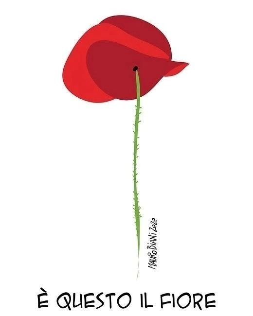 Gino Schiona tweet media