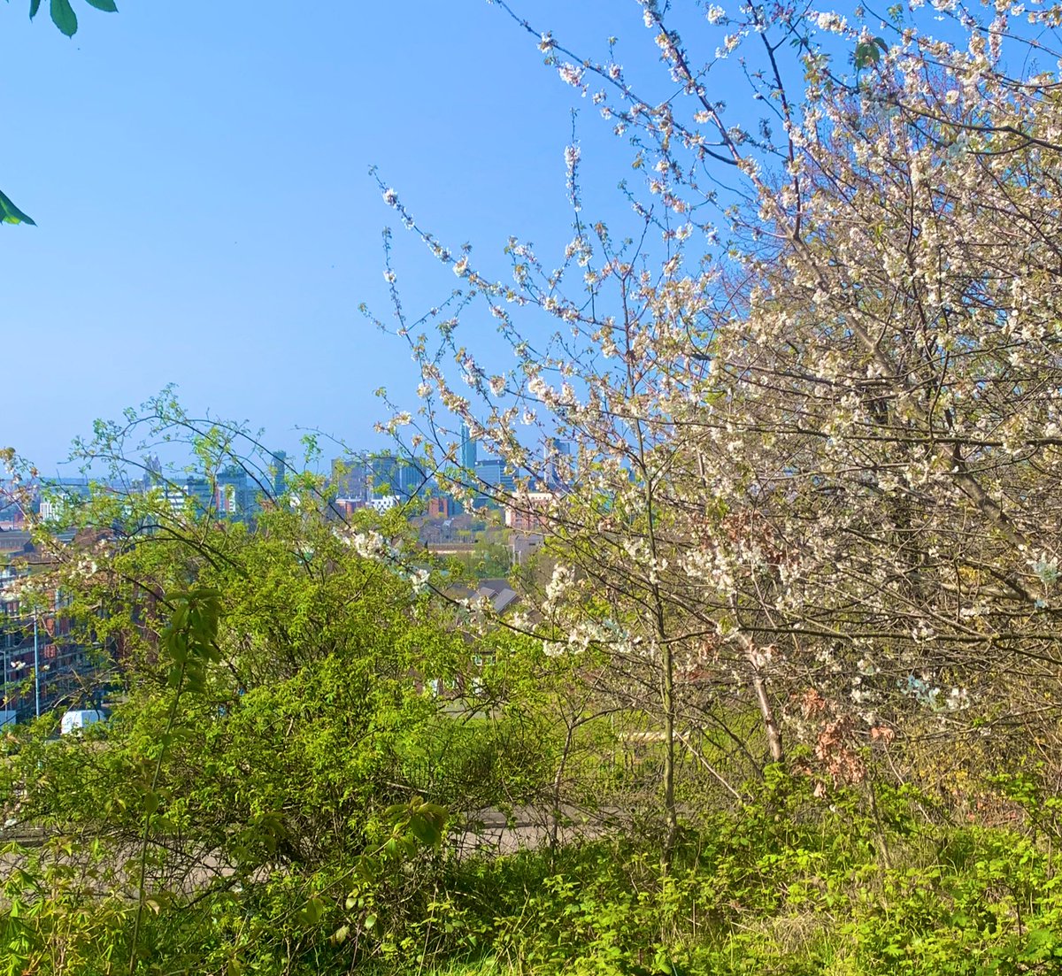 I picked to live in this city 4 years ago

I only had 1 other choices of university I could have gone to

We own less control of our outcomes than we think

But just because you didn’t pave the path you’re walking on

Doesn’t mean you can’t decide it’s final destination 

GM