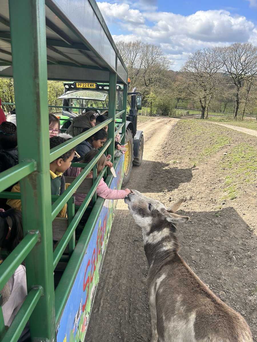 firsprimarysale's tweet image. #Y1Apple We are having a fabulous time @Smithillsfarm 💚