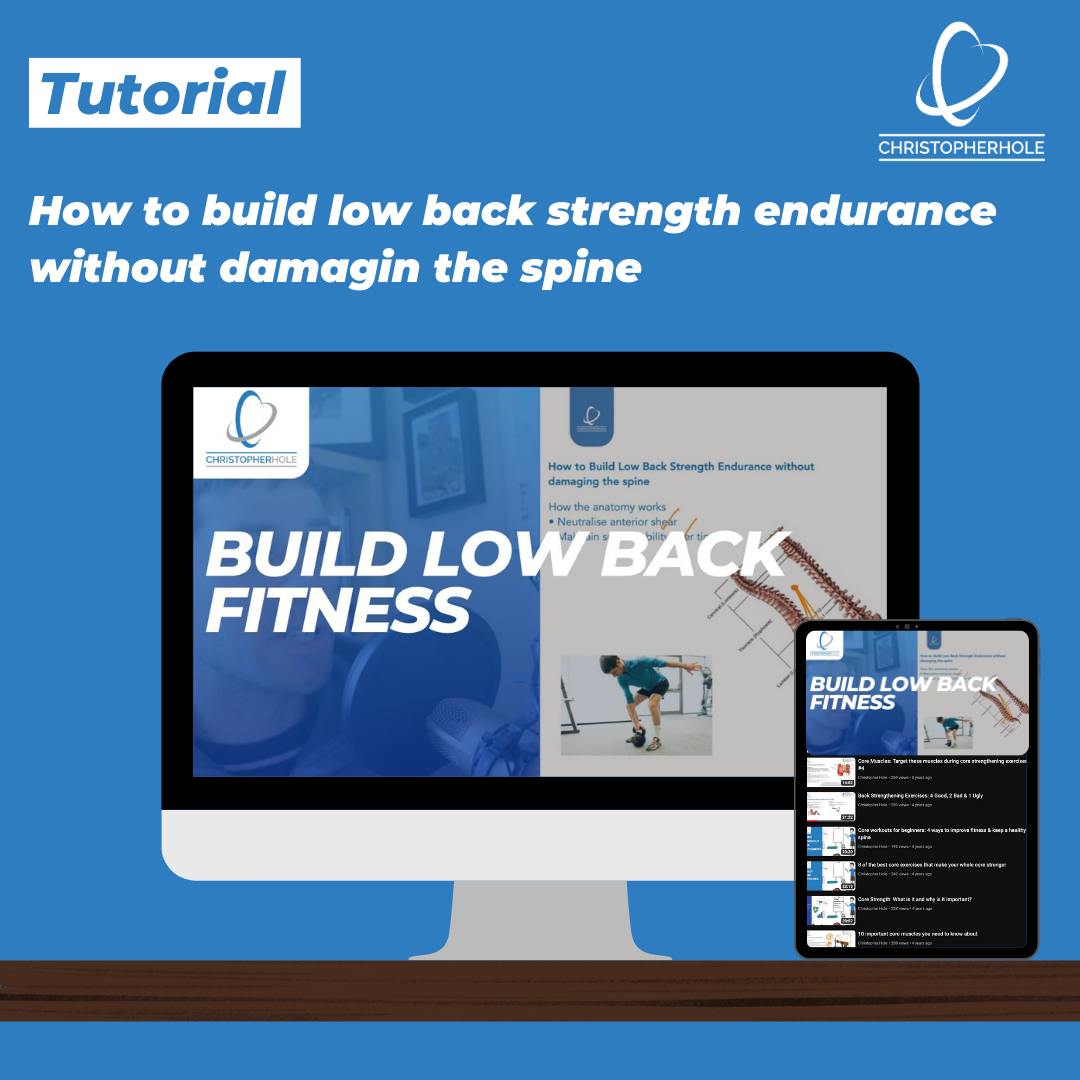 How do you build low back fitness without damaging the spine? It's true, you can damage the spine with exercise. A lot of it comes down to the exercises we choose. The exercise choice comes from how we think the low back muscles work. 

Watch it here
youtu.be/U_p9_a3exVY