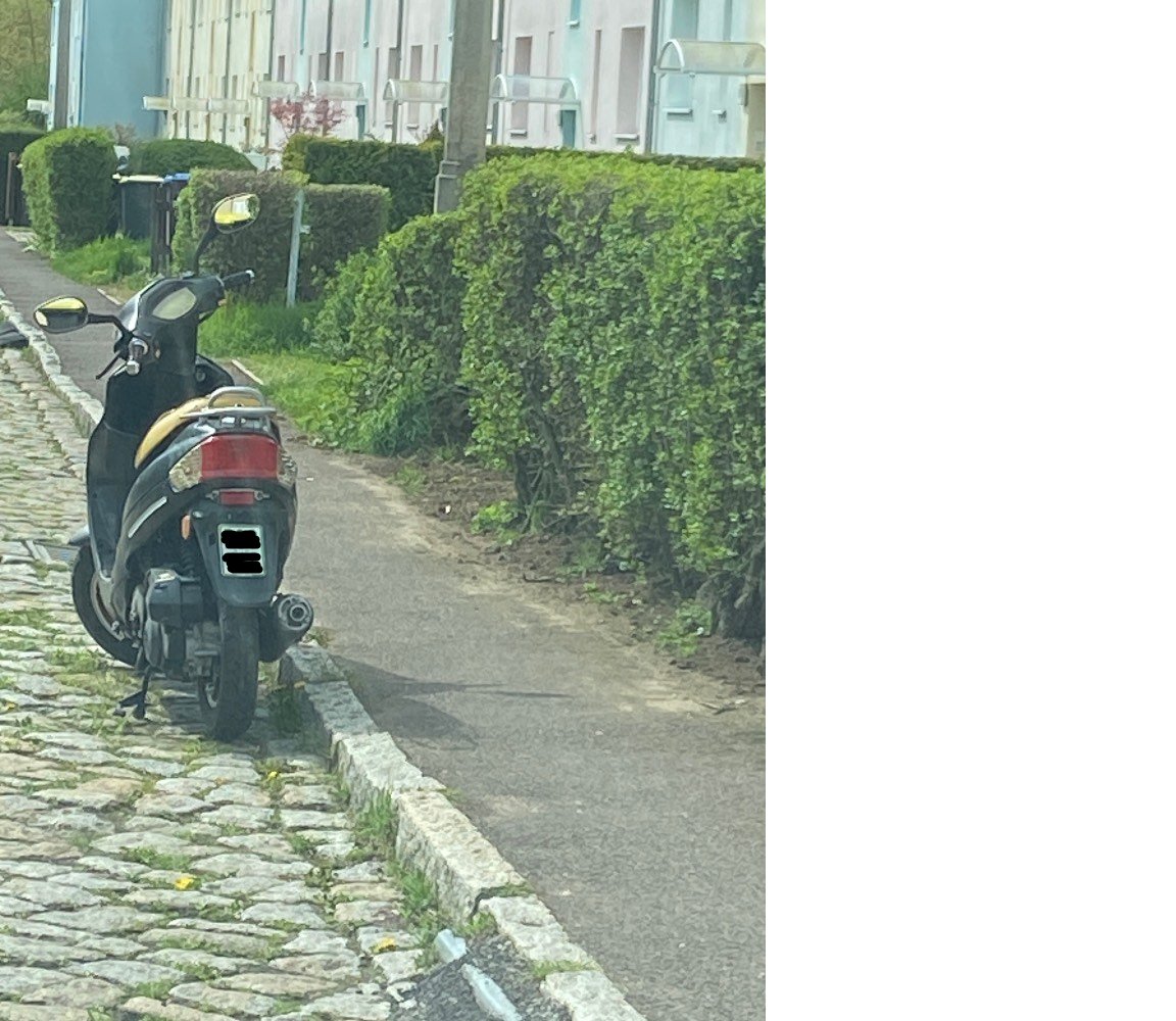 md_melder's tweet photo. 24.04.2023:

Moped auf der Straße abgestellt ohne ein gültiges Kennzeichen - Narzissenweg 12 39118  Magdeburg
https://t.co/3cPKqfEhFT
Bild: LH Magdeburg https://t.co/lJzB4WkRyj
