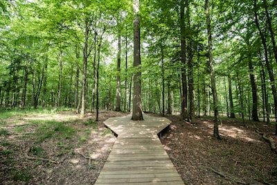 glitchin_matrix's tweet image. Photo By Robby McCullough | Unsplash 
 #housing #construction #landscapephotography #photography #plants&amp;amp;gardening