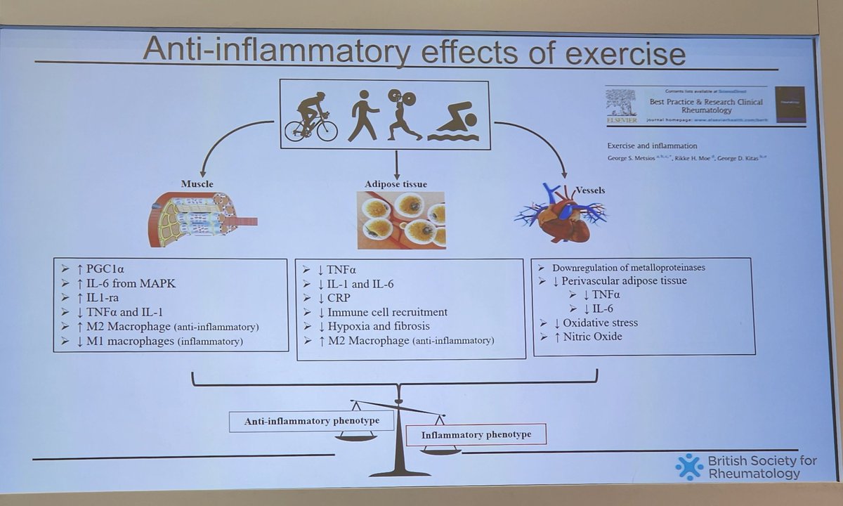 Raj Amarnani (@drrajamar) on Twitter photo Fantastic talk from <a href="/GeorgeMetsios/">George Metsios, PhD</a> discussing the anti-inflammatory effects of exercise #BSR23 <a href="/RheumatologyUK/">BSR</a> Fantastic talk from <a href="/GeorgeMetsios/">George Metsios, PhD</a> discussing the anti-inflammatory effects of exercise #BSR23 <a href="/RheumatologyUK/">BSR</a>