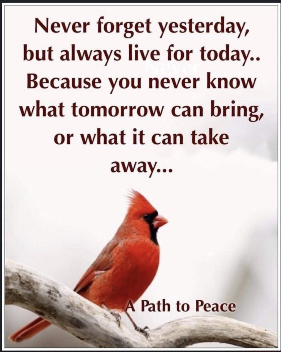 L Sierra (@lsierra32087871) on Twitter photo 