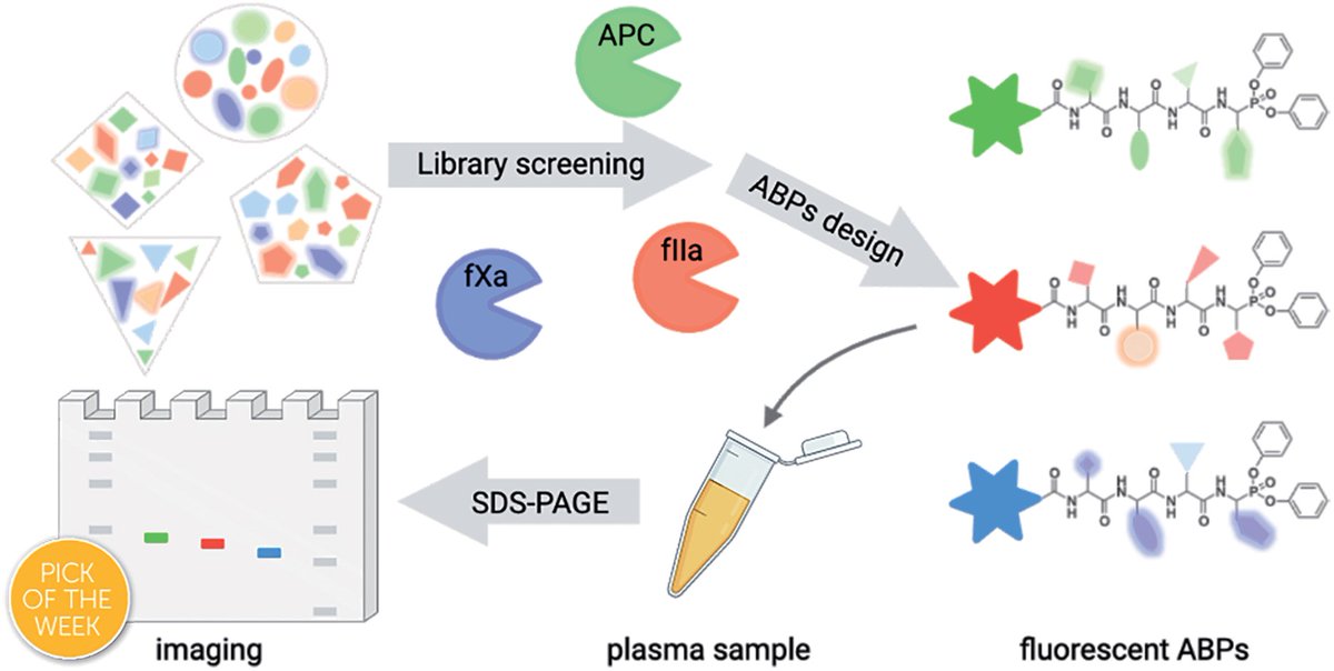 Chemical Science tweet media
