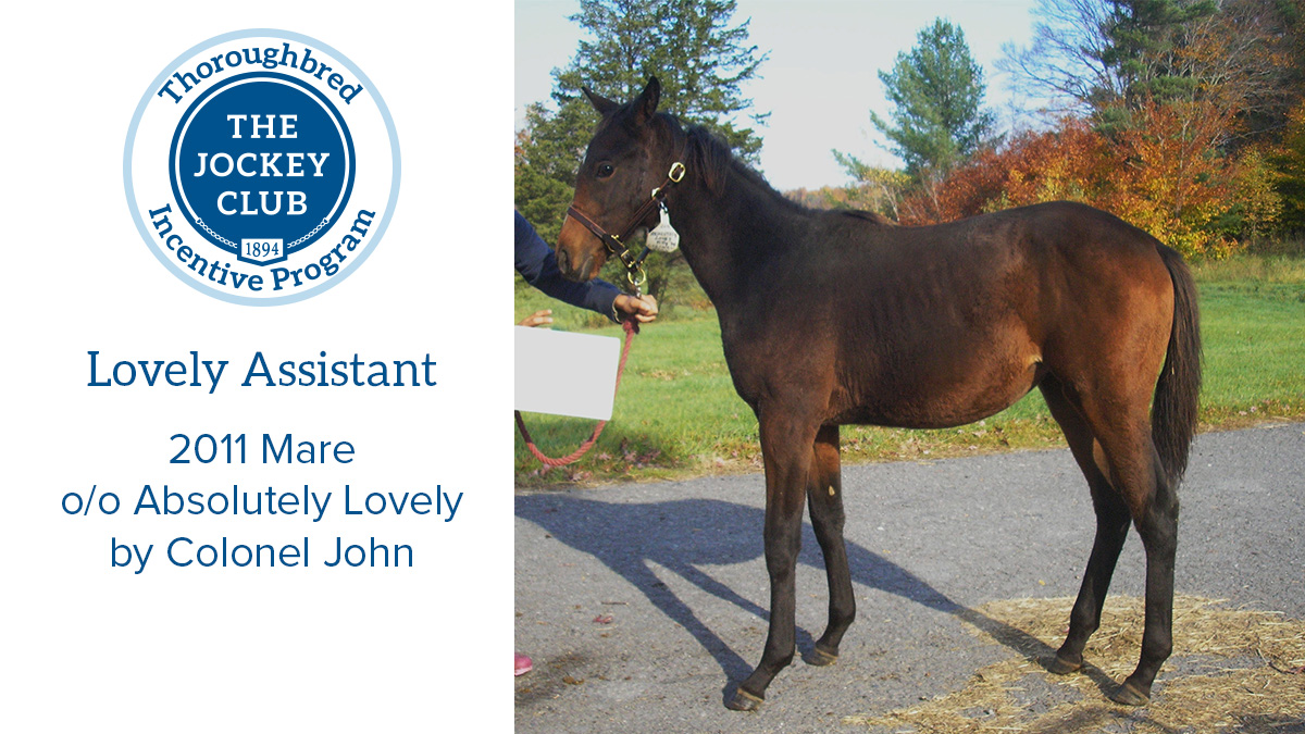 jockeyclub's tweet photo. Lovely Assistant, one of the registered Thoroughbreds entered in the 4* @KyThreeDayEvent, had 10 starts with one first. Learn more about TJC’s Thoroughbred Incentive Program here: https://t.co/eHxczs6ZT9. #BestWeekendAllYear #useventing #OTTB https://t.co/Ay88kwlITn