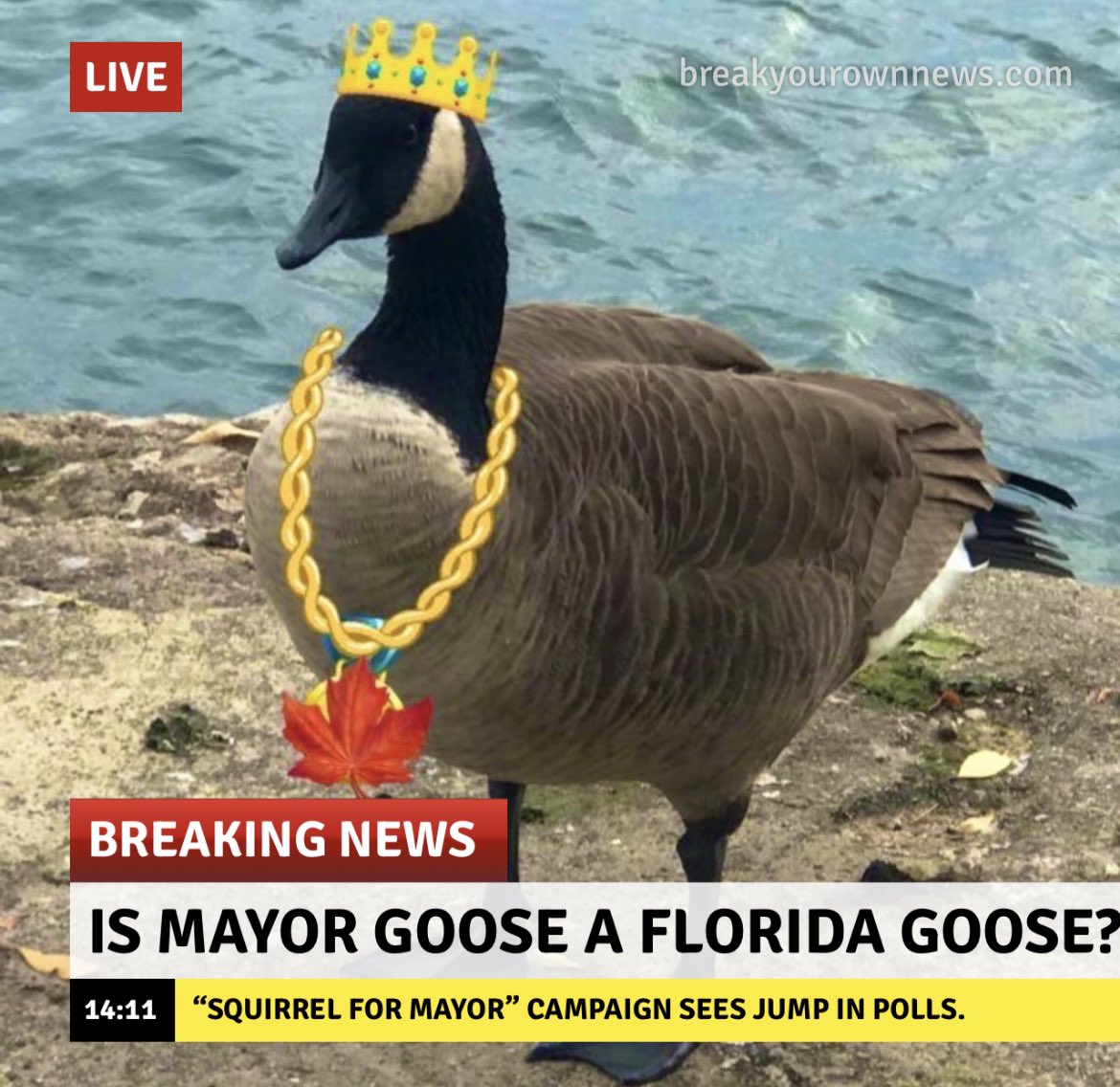 Ratatosk4's tweet photo. @HippySquirrel @TOCatMayor @MayorSquirrel Things are looking bad for #MayorGoose! 🪿🗳️🐿 #VoteSquirrel https://t.co/3HXXkxqD2y