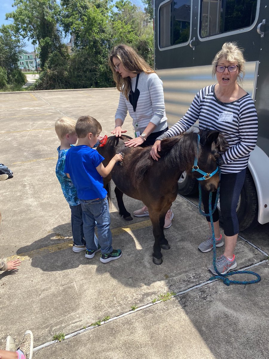 BayEaglesSoar's tweet photo. Science alive for kinder students learning about mammals! https://t.co/4HpR7mnN4F