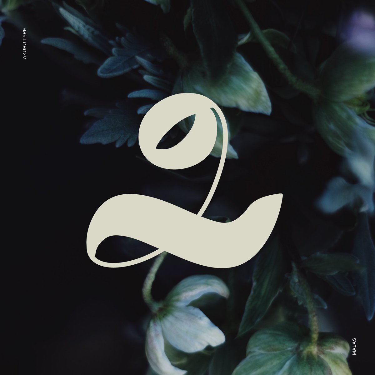 akurutype's tweet photo. Seen-Sukun ligature. ✨
.
.
.
.
.
.
#typedesign #akurutype #thaana #fonts #typefoundry #dhivehi #thaana #thedailytype #Seenu #ligatures #ligaturecollective #showusyourtype #designspiration #typewip #designinspiration #typematters https://t.co/MpLpL4ngUg
