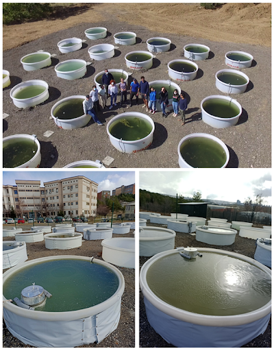 Are you interested in the salinization and warming of freshwater ecosystems? 

If yes, we are looking for collaborators for a mesocosm experiment in Turkey! 
When: Aug - Oct 2023

As always, we fund you to participate!

For details:
aquacosm.eu/transnational-… 

@REA_research
