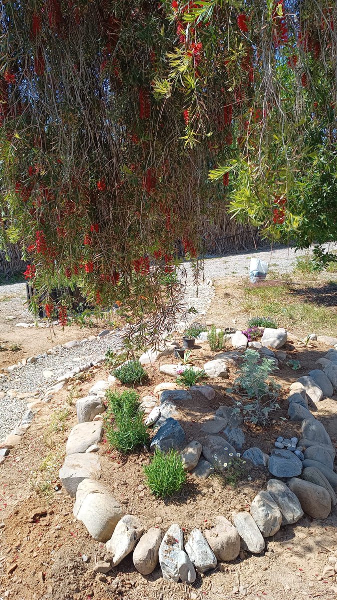 MonkCuisine's tweet photo. Had a great time creating new path and Mediterranean rockery garden in Crete for @dids60 (who came up with the design for the end of the path) and @PaulHRoberts, both 👍 labourers. Alas, returning to cold &amp; rain tomorrow. Thanks Ray for pics and help lumping big rocks around. https://t.co/qCQlFdhMSF