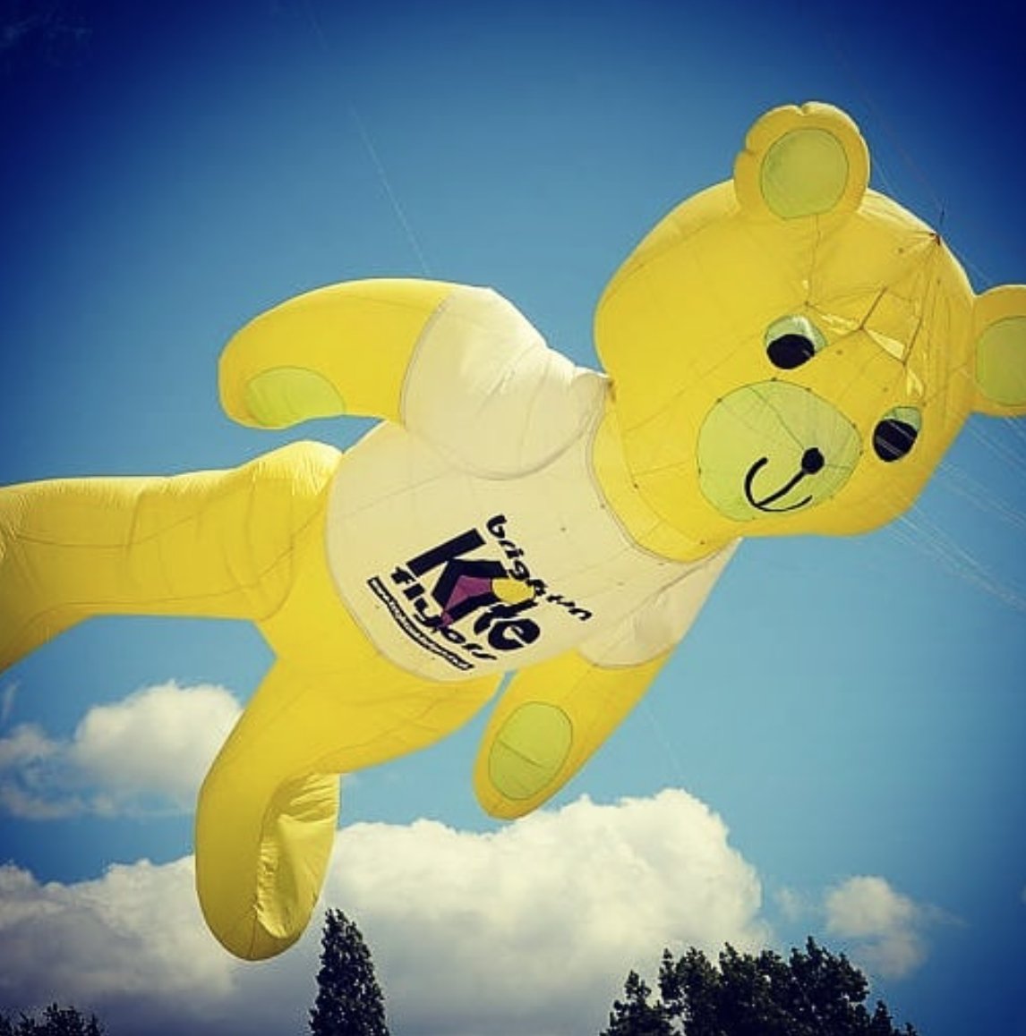 Kite Day is back on #Streatham Common on Sunday 14th May, 11-5pm.

We will be there at the InStreatham stall, so do come and say hello and find out more about the work we do to support businesses and improve the High Road in Streatham.

Time to practise our kite flying skills!