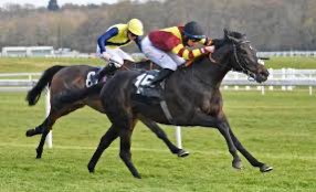 💷 If Flyin Solo wins the 15:35 at Epsom today I’ll give one of you £40 in CASH! 

To Enter ⬇️

1️⃣ RT this Tweet 🔄
2️⃣ Like this Tweet ❤️ 
3️⃣ Follow <a href="/BenBeard2/">Ben Beard</a> 

YOU MUST follow the account!

#HorseRacing