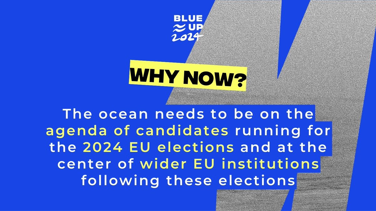 15 days left to vote to make sure future EU decision makers do➕ on Ocean protection

🌊 Bring your support to #BlueUp24, the campaign supported by 25 orga+ to have Ocean protection in the programmes &amp; agenda of the🇪🇺 
💧It really takes ☝ click 
VOTE ➡️  bit.ly/bluedytimeen