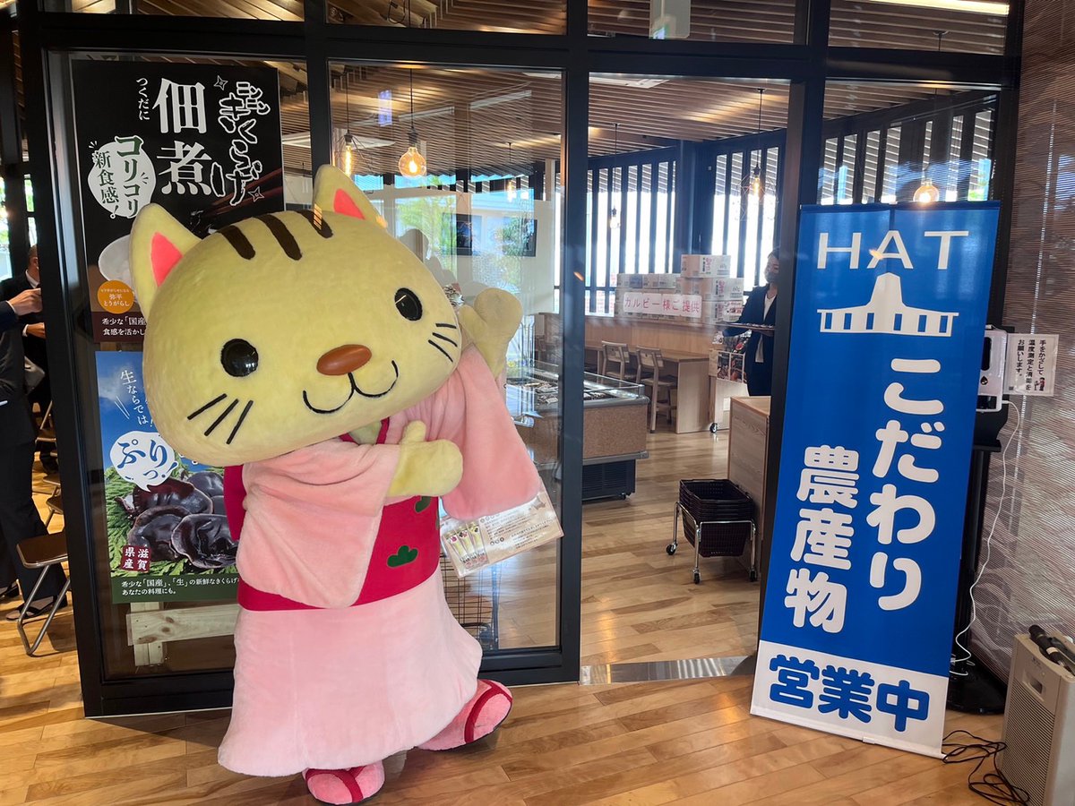 konyancity's tweet photo. 4/27(木)ハット・キッチンNewオープンされにゃす！✨こちにゃ！こちにゃ！こちにゃ！✨ https://t.co/QQivFheeNp https://t.co/RYAkoegKm3