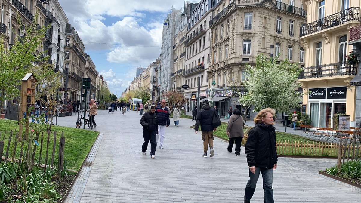 Sentir l’herbe coupée en plein centre-ville 🤩 #bruxellesmabelle