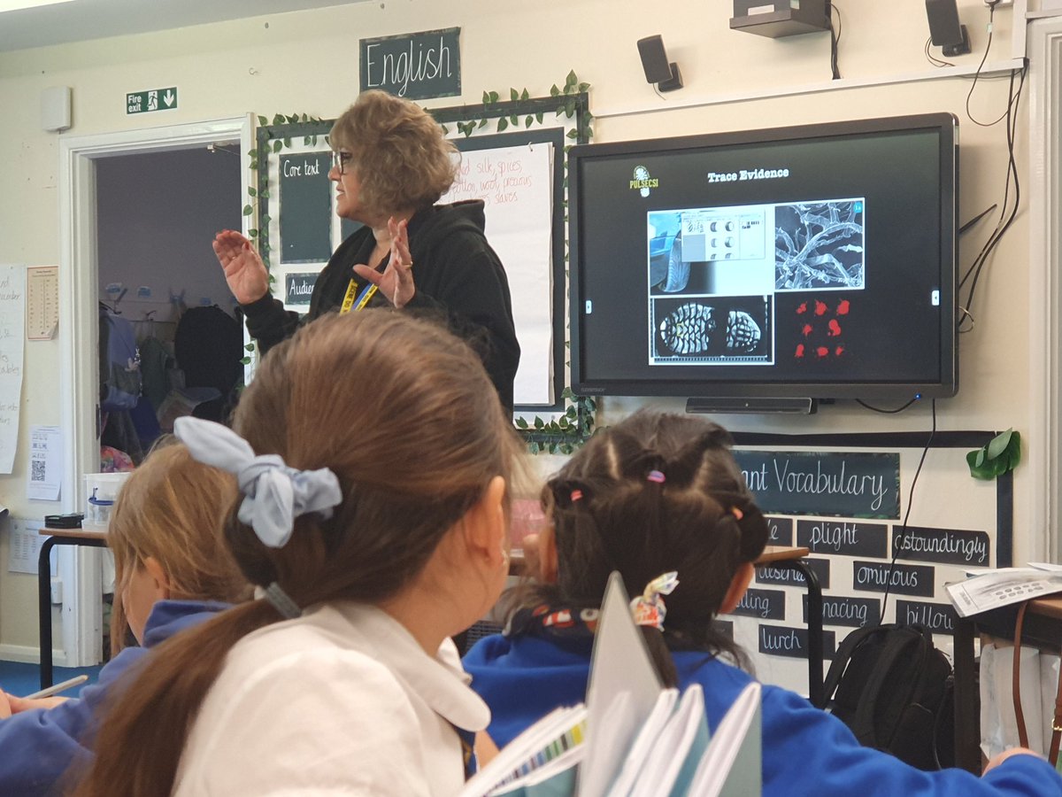 Y5Auckley tweet media