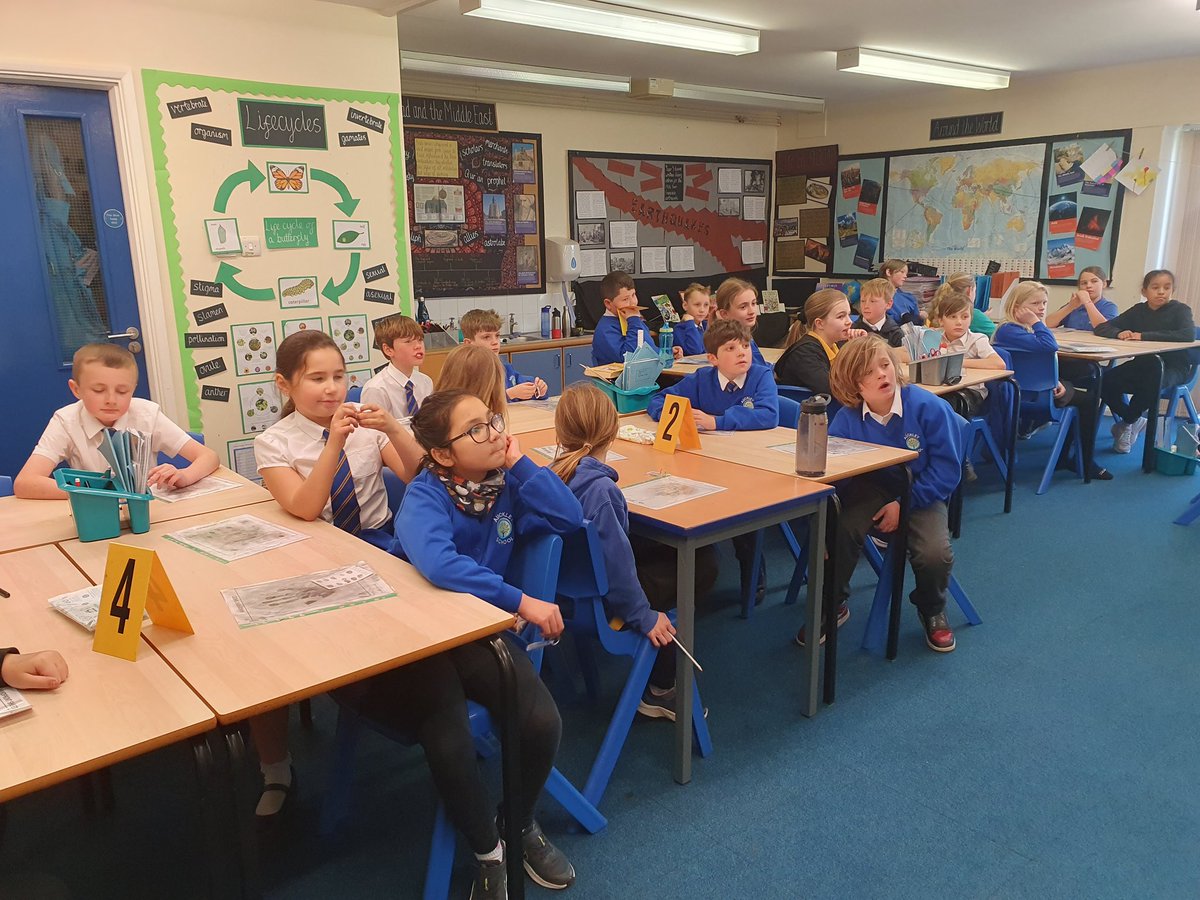 Y5Auckley tweet media