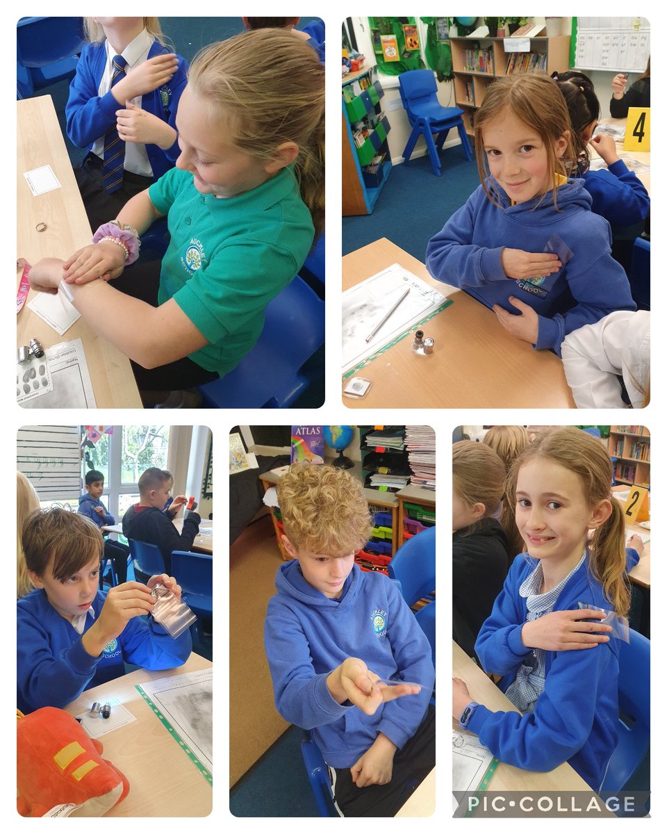 Y5Auckley tweet media