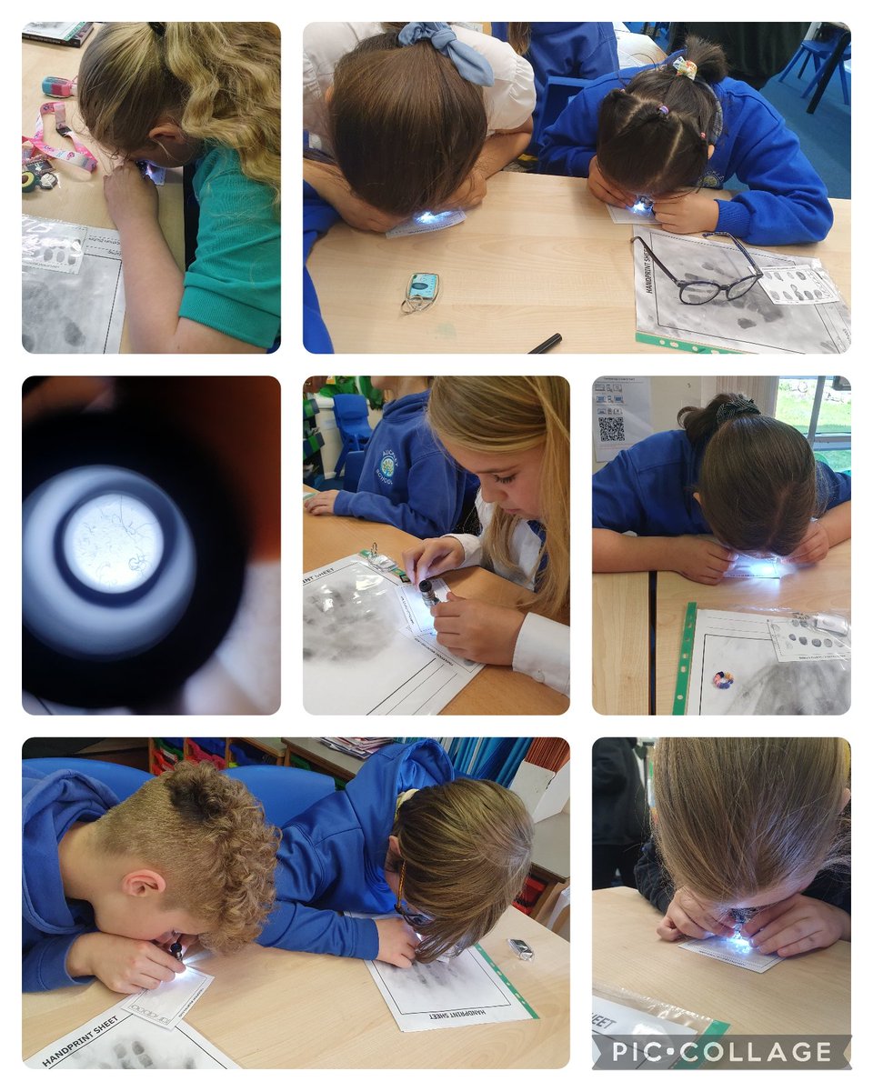 Y5Auckley tweet media
