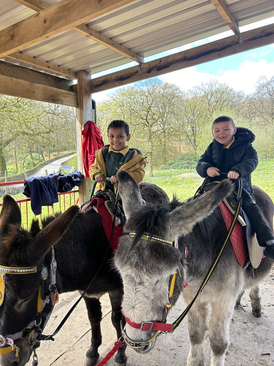 firsprimarysale's tweet image. #Y1Apple Donkey rides! 🥰