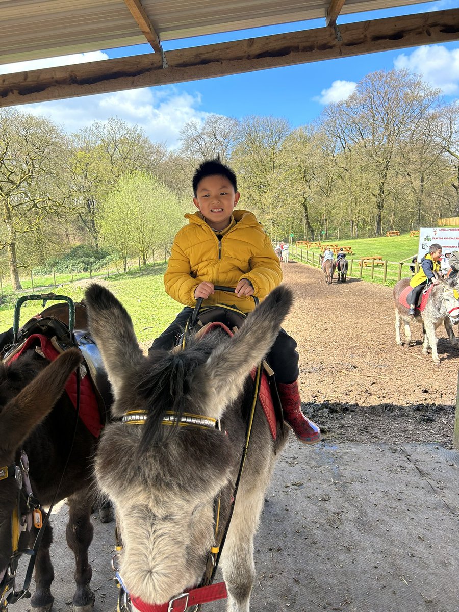 firsprimarysale's tweet image. #Y1Apple Donkey rides! 🥰