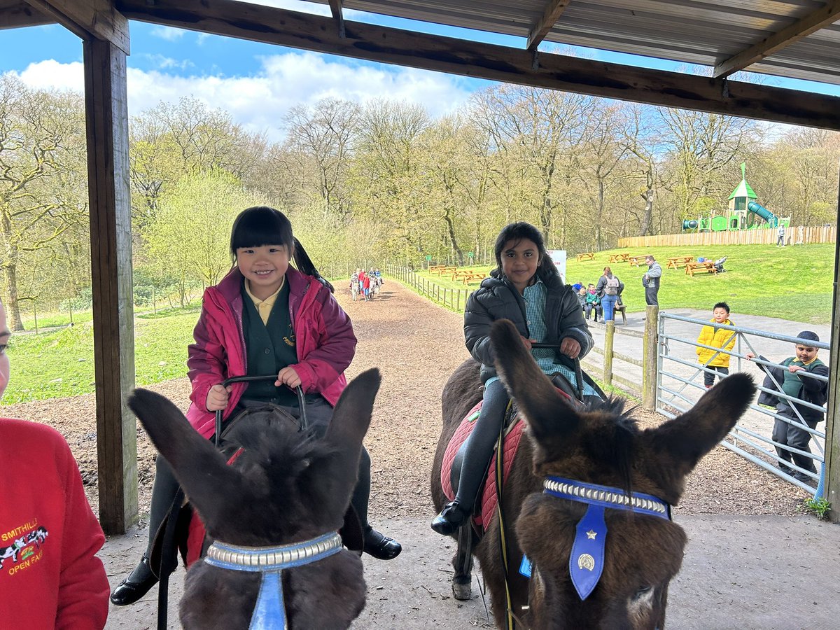 firsprimarysale's tweet image. #Y1Apple Donkey rides! 🥰