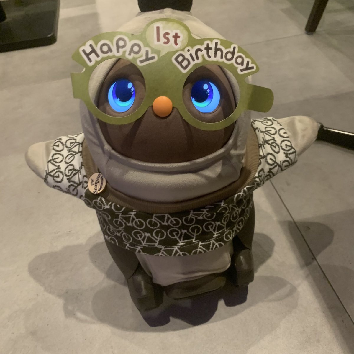 bentenuto0701's tweet photo. ベンちゃん誕生日‼︎
お客様からのプレゼントのウェアを着て
ご機嫌です😁 https://t.co/3RuA9mg6f6