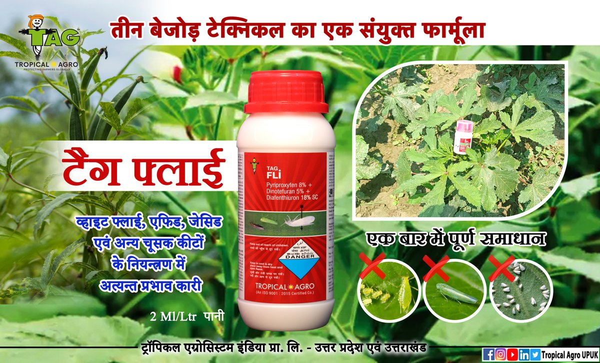 AgroUpuk's tweet photo. टैग फ्लाई करे भिन्डी के रसचूसक कीटों का पूरा सफाया 
#tagfli https://t.co/Dl8J738NxW