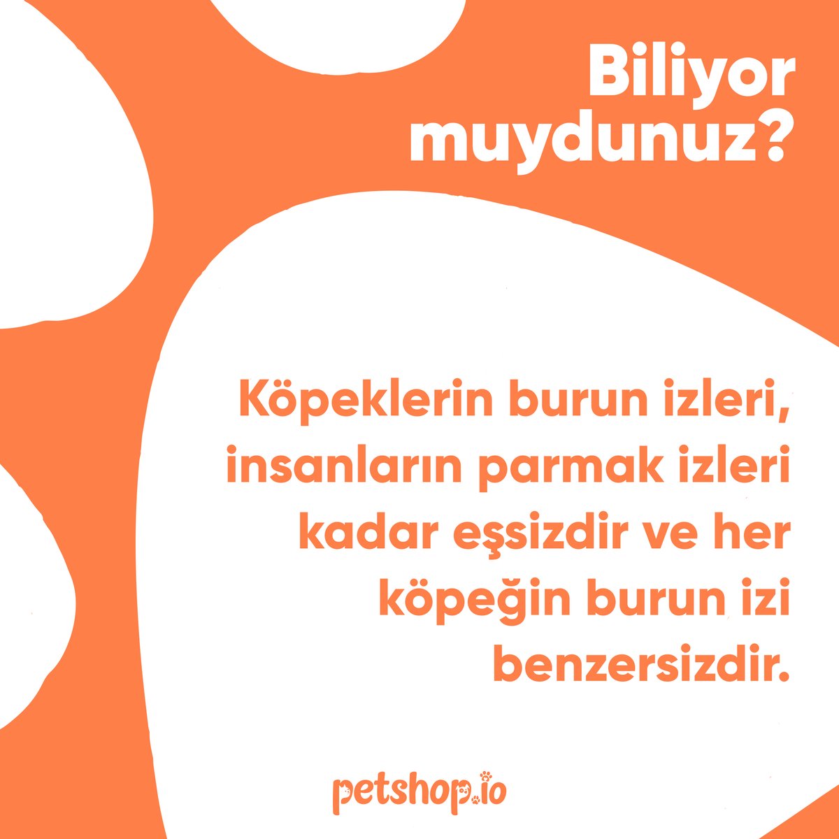🐾 PetBilgiler:  

🐶Köpeklerin burun izleri, insanların parmak izleri kadar eşsizdir ve her köpeğin burun izi benzersizdir.