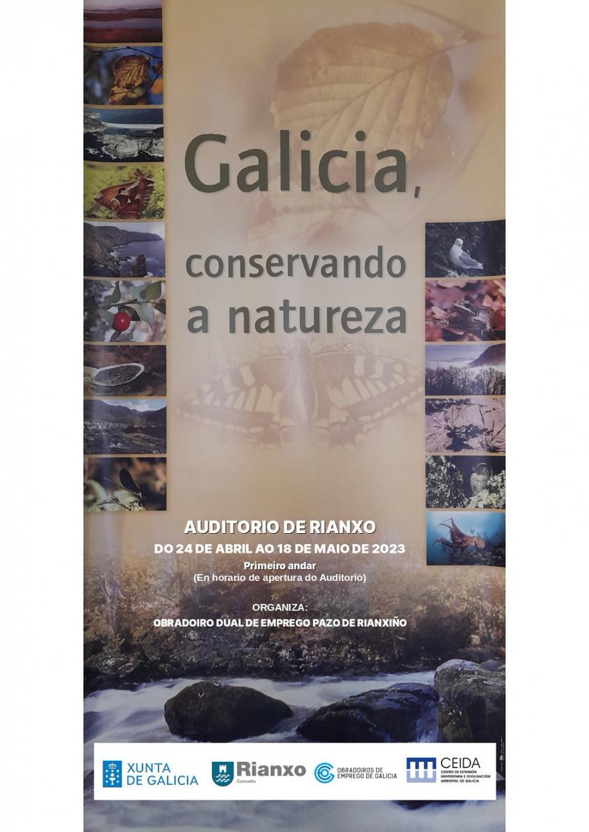 O Obradoiro Dual de Emprego Pazo de Rianxiño organiza a exposición Galicia, conservando a natureza, cedida polo CEIDA (Centro de Extensión Universitaria e Divulgación Ambiental de Galicia). A exposición está aberta ao público no Auditorio de… concelloderianxo.gal/cultura/-/blog…