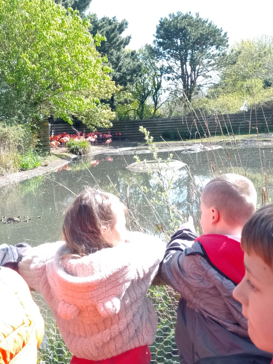 CraigfelenP's tweet photo. Amazing time at the Llanelli Wetlands, we have been exploring and spotting lots of birds! #cfp2 #generationwild #llanelliwetlands https://t.co/YMhZNgIBez