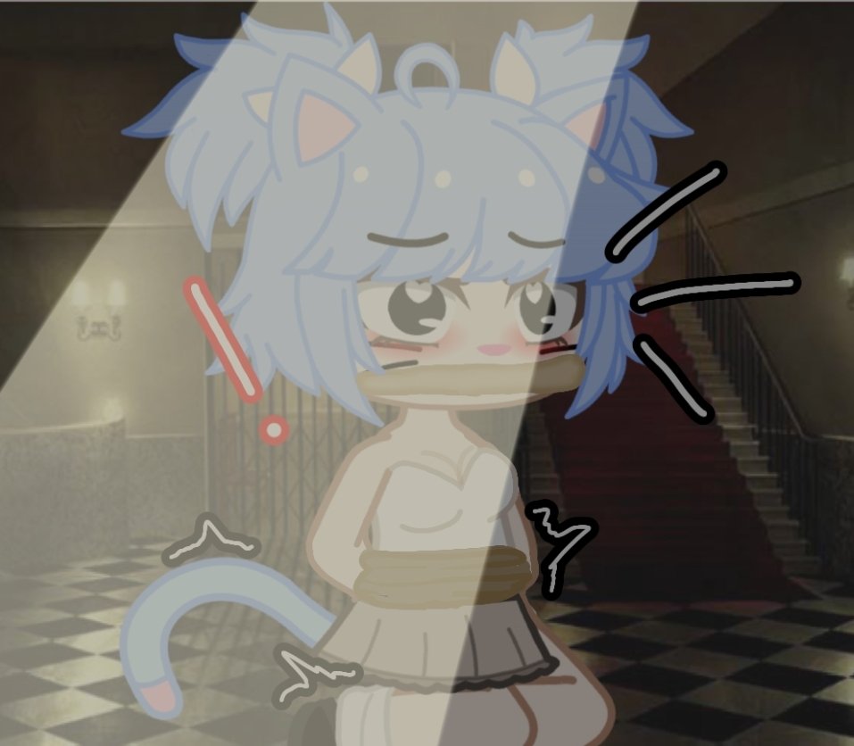 kitty. lia tweet media