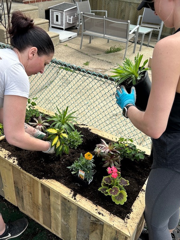 GardensHeroic's tweet photo. It's our second Saturday block party with Veteran homeowners. We're on Harbison - join us and meet new people, create something beautiful, and give back to members of the Veteran community. https://t.co/ngLEmaTRLq #grateful #usveterans #gardening #horticulture #letfreedombloom https://t.co/wrhgsx53WH