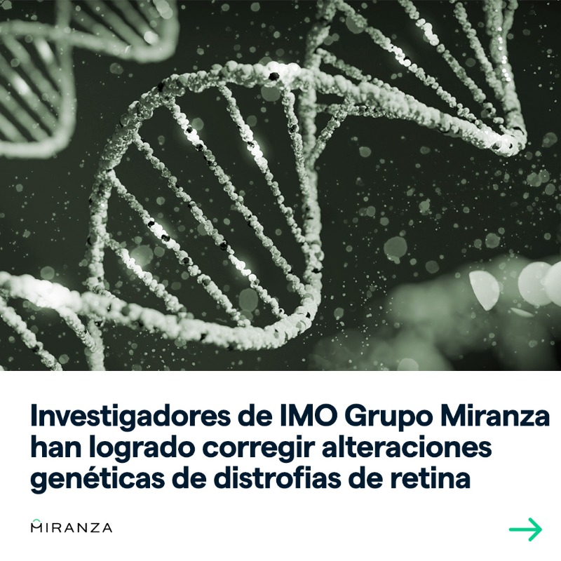 GrupoMiranza's tweet photo. 🧬 Aprovechando el #DíaMundialdelADN, queremos recordar un gran hallazgo de este 2023 del departamento de #genética de @imogrupomiranza. Este descubrimiento ha abierto un camino esperanzador hacia lo que podría ser la cura de #enfermedadesraras ¿Quieres saber más?👉🏼