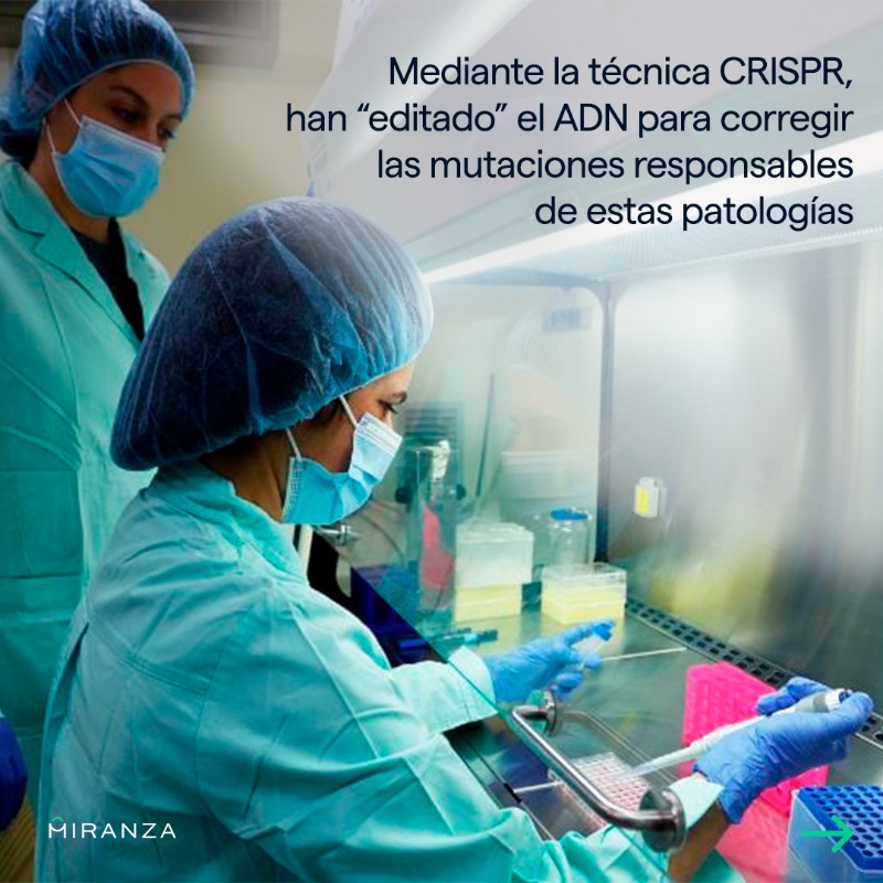 GrupoMiranza's tweet photo. 🧬 Aprovechando el #DíaMundialdelADN, queremos recordar un gran hallazgo de este 2023 del departamento de #genética de @imogrupomiranza. Este descubrimiento ha abierto un camino esperanzador hacia lo que podría ser la cura de #enfermedadesraras ¿Quieres saber más?👉🏼
