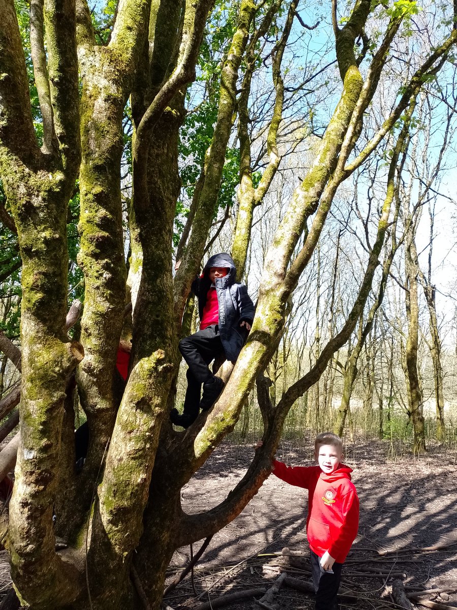 CraigfelenP's tweet photo. They have loved exploring the Wiggly Wood! Climbing and jumping! #cfp2 #generationwild #llanelliwetlands https://t.co/0B4w62ydbR