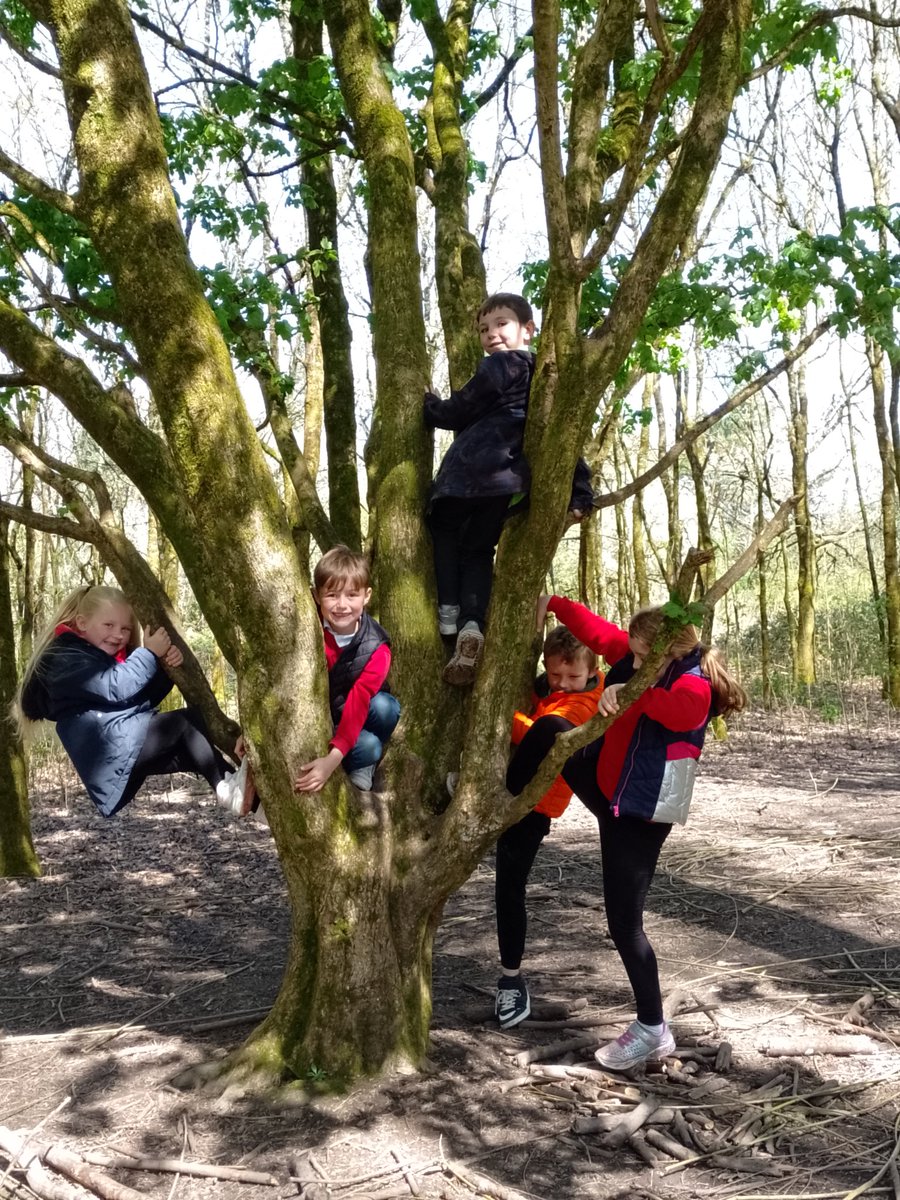 CraigfelenP's tweet photo. They have loved exploring the Wiggly Wood! Climbing and jumping! #cfp2 #generationwild #llanelliwetlands https://t.co/0B4w62ydbR