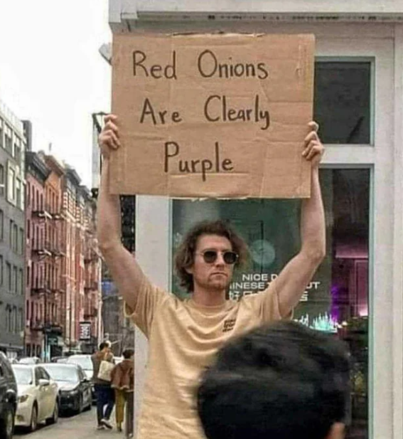 Grokstar_1's tweet photo. Fact: red onions are clearly purple
Let's debate this I'm here all day..
#redonions #purple #notred #onions #signs #funny https://t.co/IxvtxuvSrf
