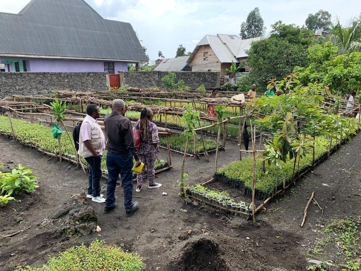 RenacofUdongo's tweet photo. Nous sensibilisons, nous formons, nous produisons et nous distribuons pour protegé la terre de nos ancêtres https://t.co/m46OULsaZC