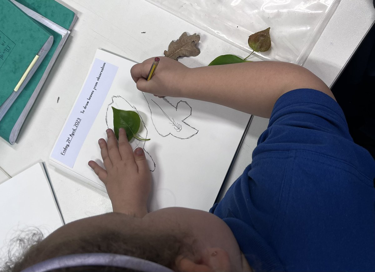 Miss Roberts tweet media