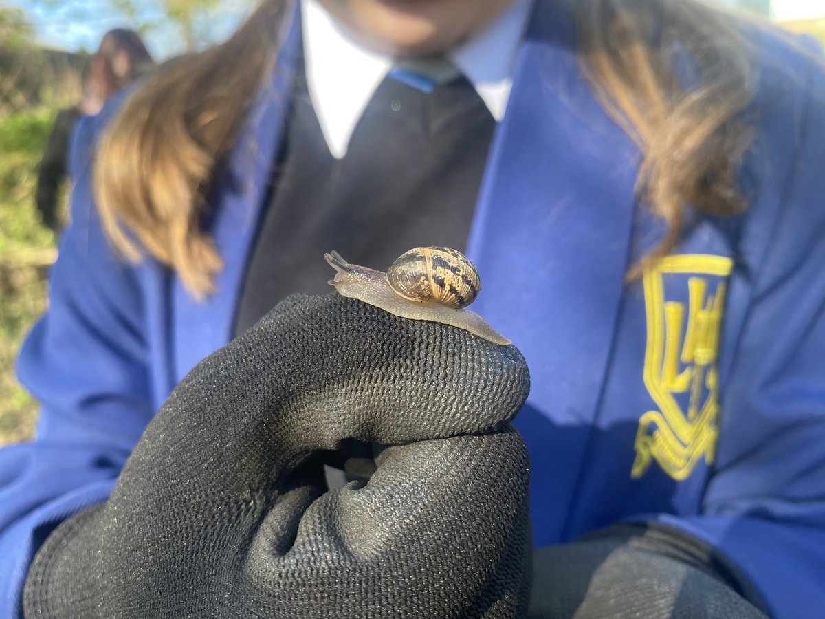 🌍 🐞 🐛 ESA students demonstrating their team working, communication and creativity skills today as we set up pit fall traps and created bug hotels to examine, and help protect, the creatures lurking in our local living #environment! 🐜 🐌 👏🏻 <a href="/LHS_Humanities/">LHS Humanities</a>