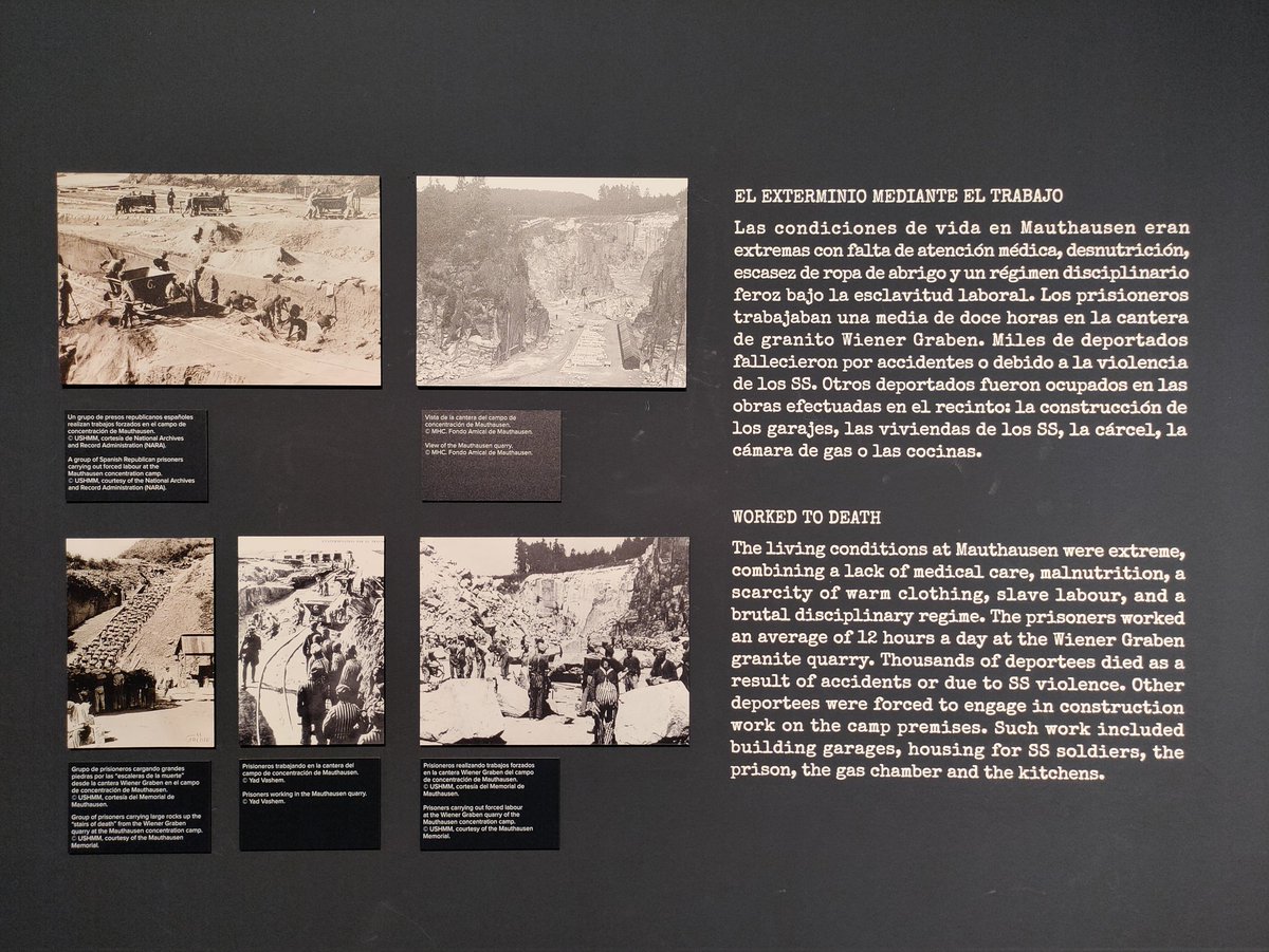 En el Centro Sefarad (calle Mayor, 69) hay una exposición dedicada a recordar los crímenes cometidos en Mauthausen por los nazis. 

La entrada es gratuita y muy recomendable.

Hasta el 17 de junio.