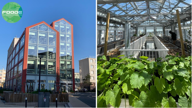 📢A big thank you toall FoodE's partners for a very successful General Assembly, which took place on 18 and 19 April, in Paris🇫🇷.

Besides the assembly we visited La Cité Maraîchère de Romainville

📍Read more about it here: bit.ly/3Nc7Ohy

#MyLocalFoodE #UrbanFarming