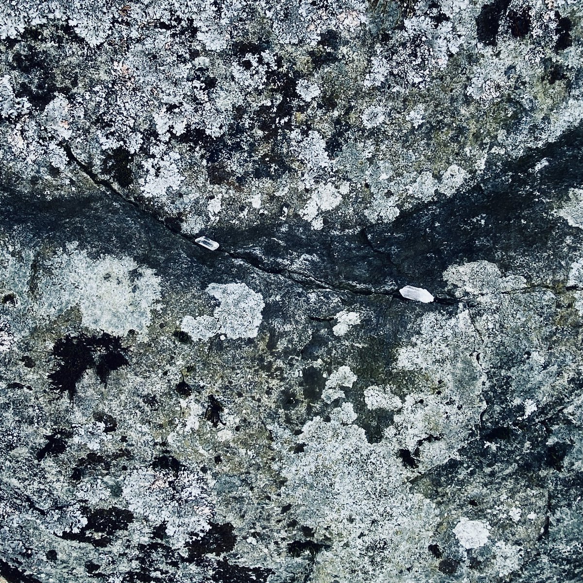 I am...

A pixel of illumination
A speck of dust
A precious crystal
In the Earth’s crust.

#pixel #illumination #earth #crystal #dust #standingstone #detail #scotland #poetry #poem #spokenword #word #forager