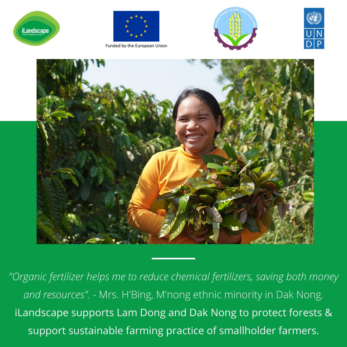 UNDPVietNam's tweet photo. Moving towards sustainable production &amp; trade will help better access to financing &amp; market.

#iLandscape project, funded by the EU, supports farmers &amp; cooperatives in the Central Highlands of Viet Nam in achieving it. https://t.co/OM1gm5XiuZ