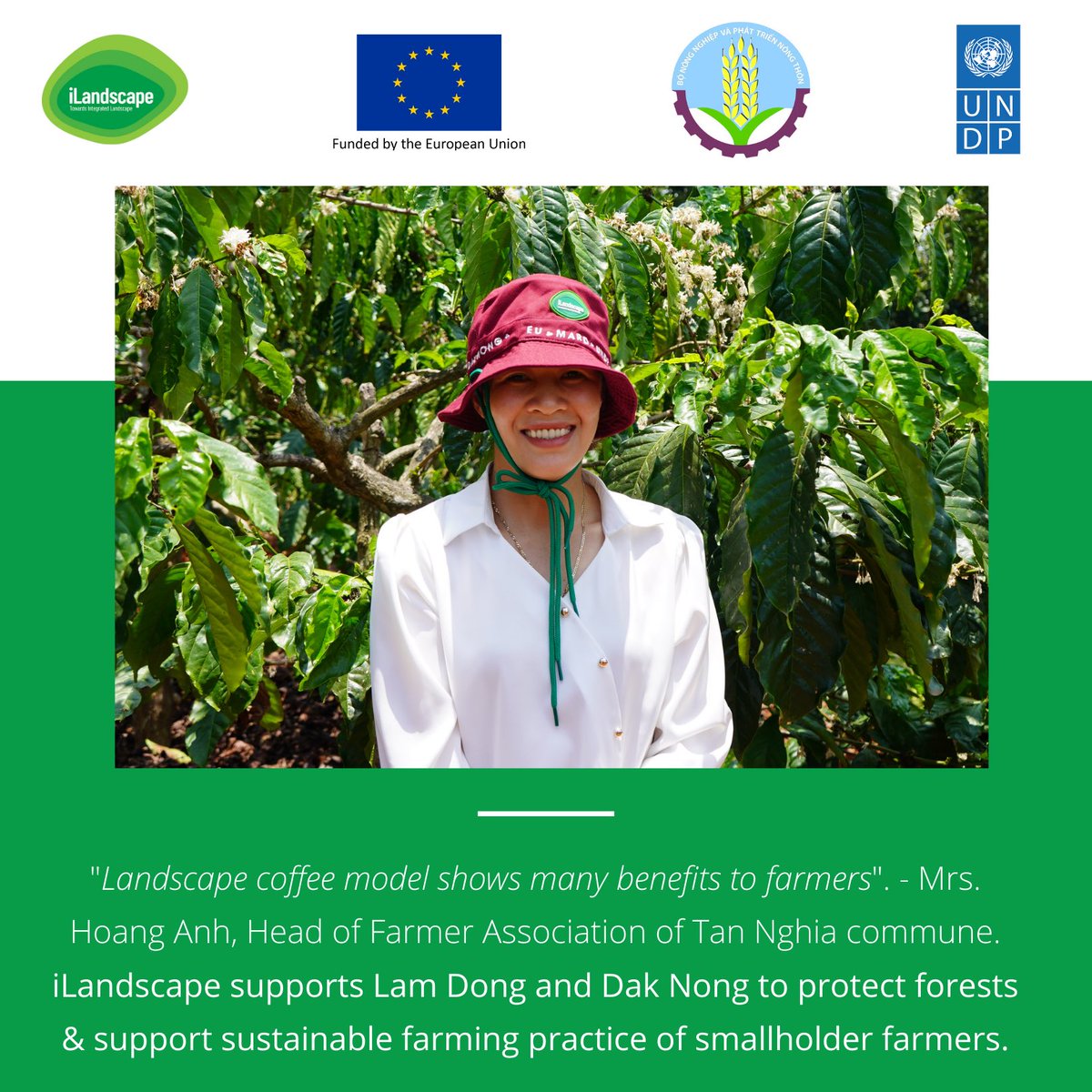 UNDPVietNam's tweet photo. Moving towards sustainable production &amp; trade will help better access to financing &amp; market.

#iLandscape project, funded by the EU, supports farmers &amp; cooperatives in the Central Highlands of Viet Nam in achieving it. https://t.co/OM1gm5XiuZ